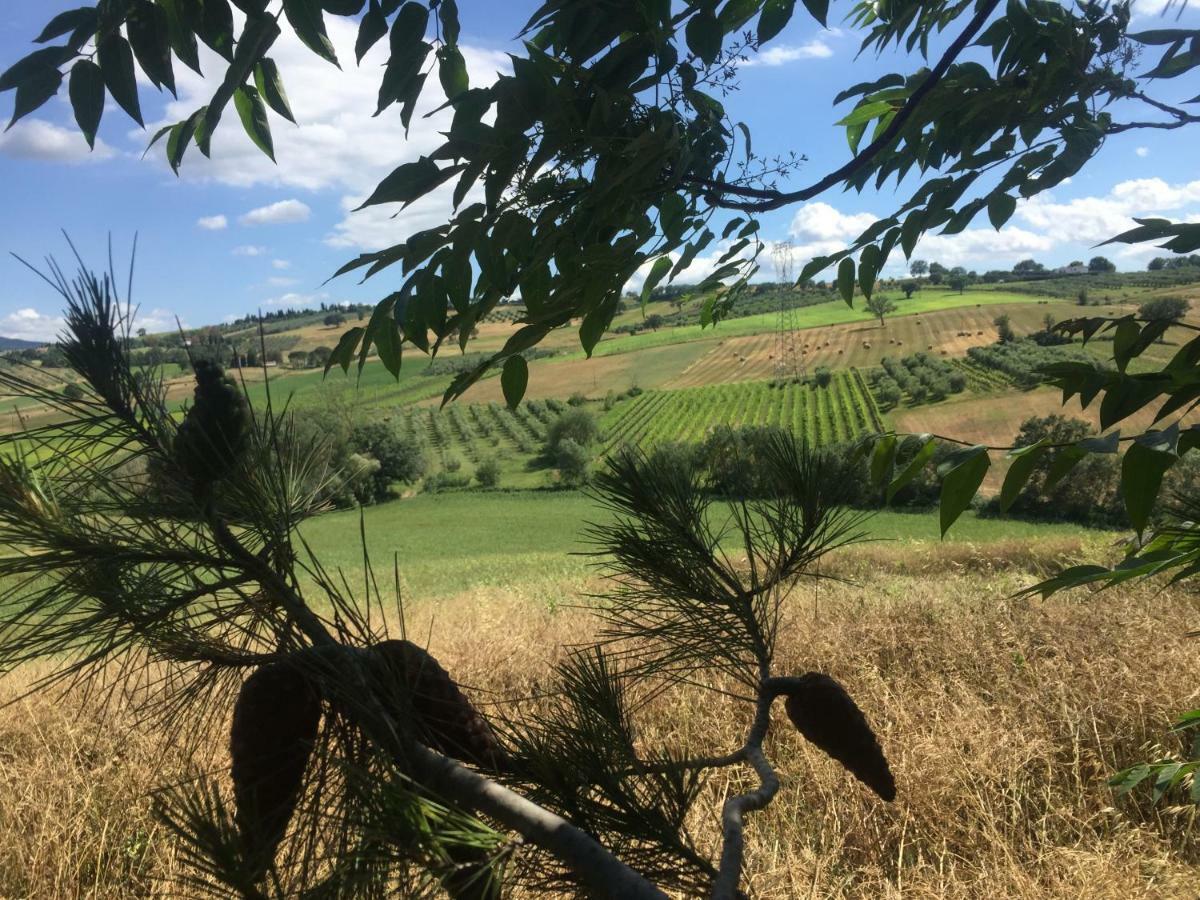 Poggio Alla Pietra 26 Porrona ภายนอก รูปภาพ