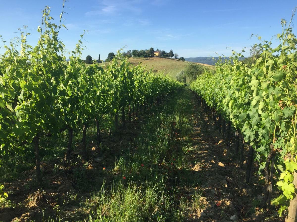 Poggio Alla Pietra 26 Porrona ภายนอก รูปภาพ