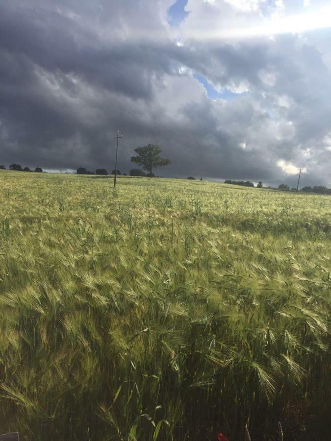 Poggio Alla Pietra 26 Porrona ภายนอก รูปภาพ
