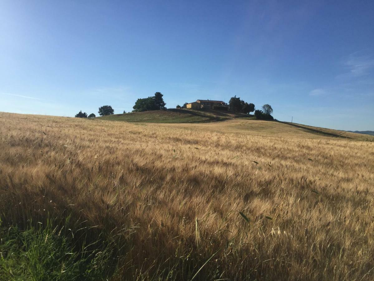 Poggio Alla Pietra 26 Porrona ภายนอก รูปภาพ
