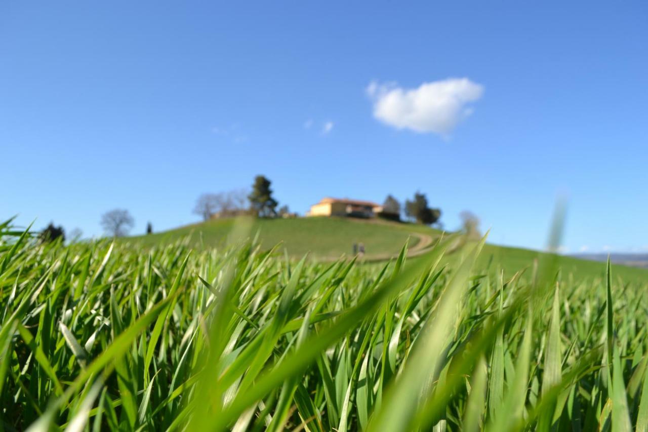 Poggio Alla Pietra 26 Porrona ภายนอก รูปภาพ