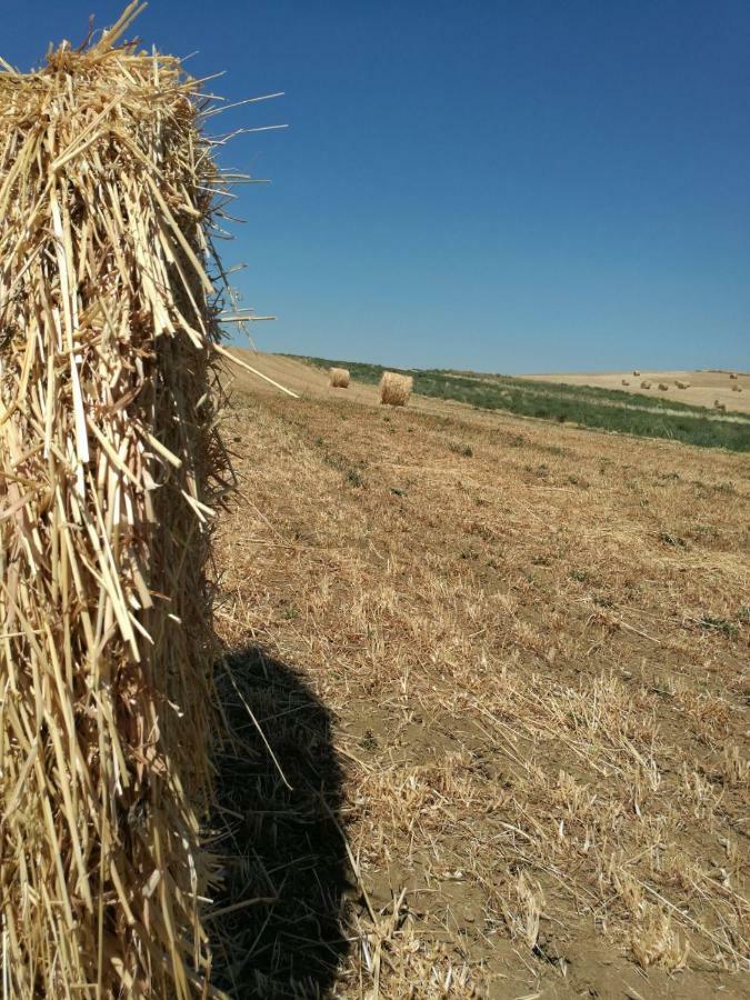 Poggio Alla Pietra 26 Porrona ภายนอก รูปภาพ
